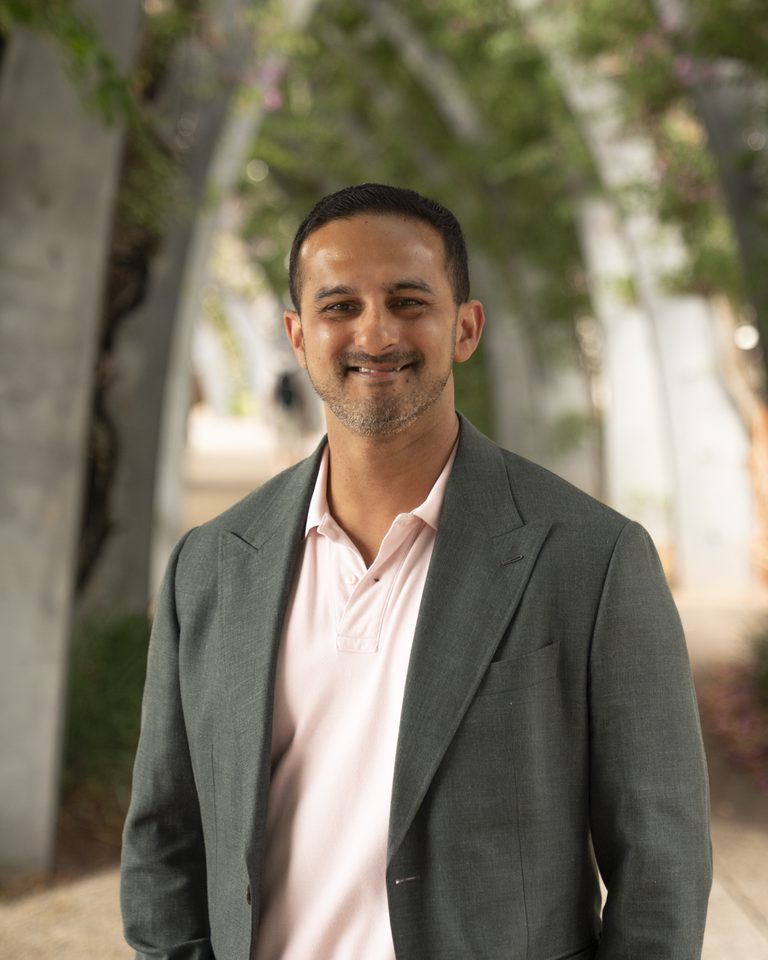 Dion Fernandes, Finance Strategist
