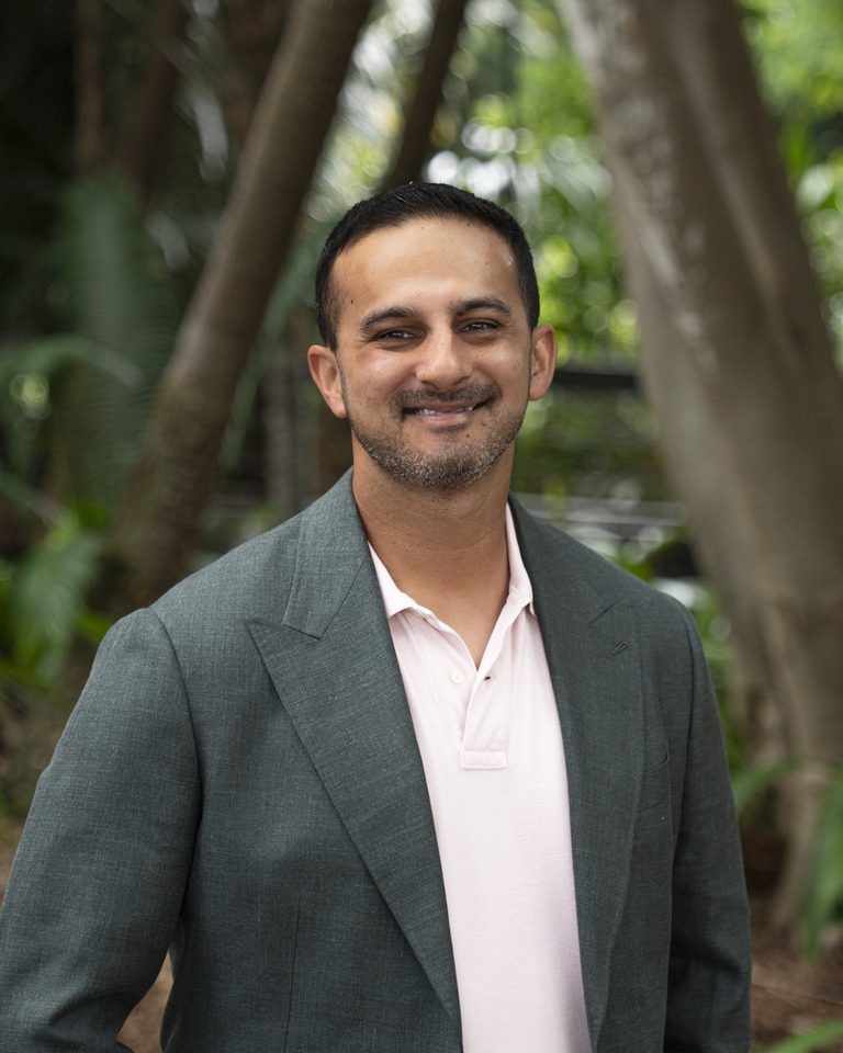 Dion Fernandes, Finance Strategist